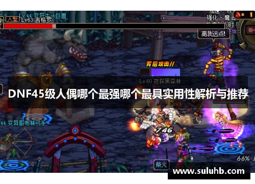 DNF45级人偶哪个最强哪个最具实用性解析与推荐